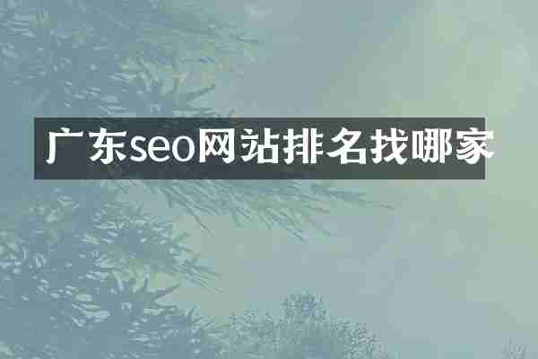 广东seo网站排名找哪家