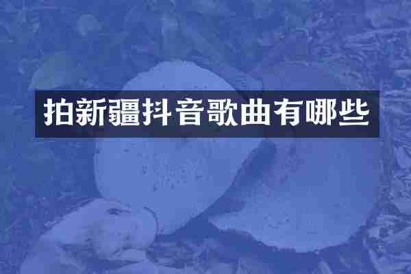 拍新疆抖音歌曲有哪些