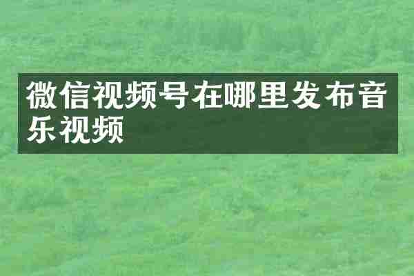 微信视频号在哪里发布音乐视频
