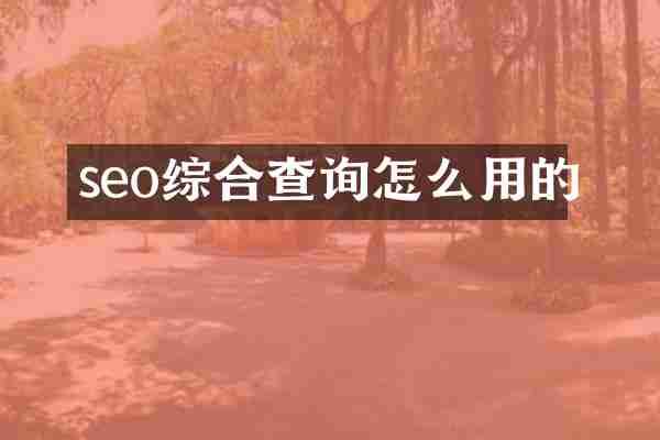 seo综合查询怎么用的