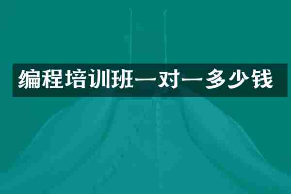 编程培训班一对一多少钱