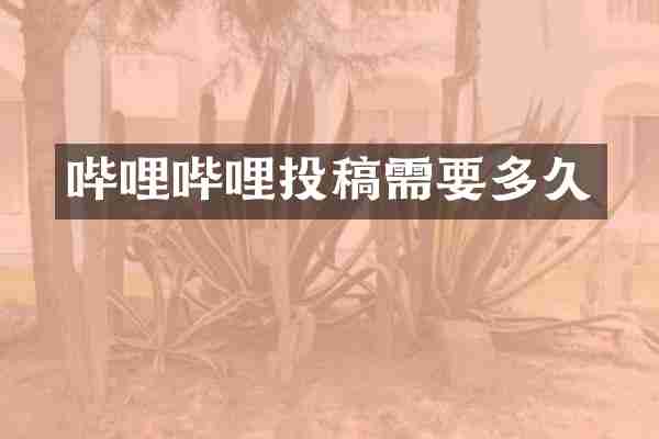 哔哩哔哩投稿需要多久