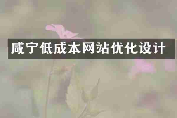 咸宁低成本网站优化设计