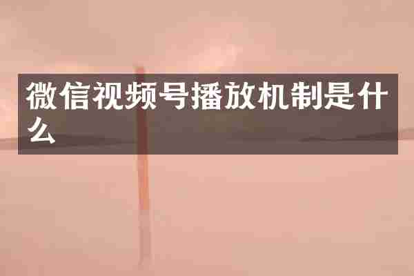 微信视频号播放机制是什么