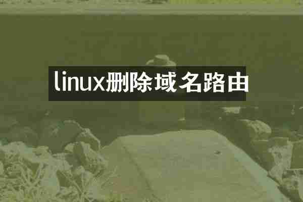 linux删除域名路由