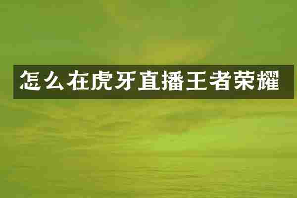 怎么在虎牙直播王者荣耀