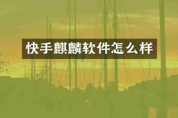 快手麒麟软件怎么样