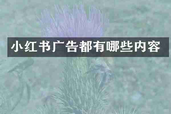 小红书广告都有哪些内容
