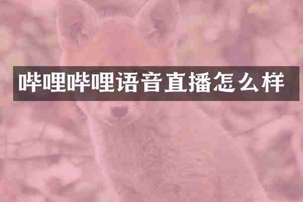 哔哩哔哩语音直播怎么样