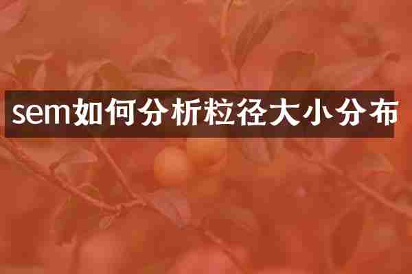 sem如何分析粒径大小分布