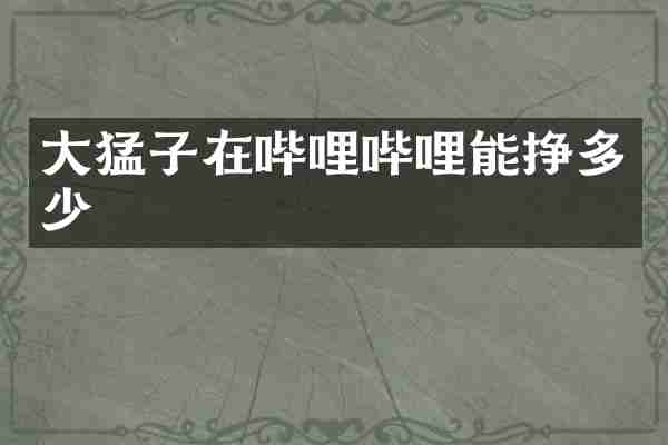 大猛子在哔哩哔哩能挣多少