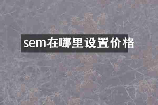 sem在哪里设置价格