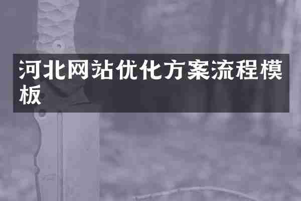 河北网站优化方案流程模板