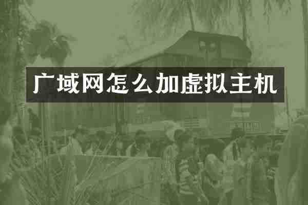广域网怎么加虚拟主机