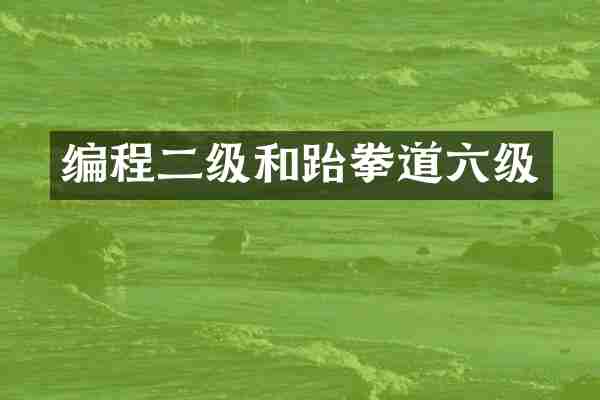 编程二级和跆拳道六级