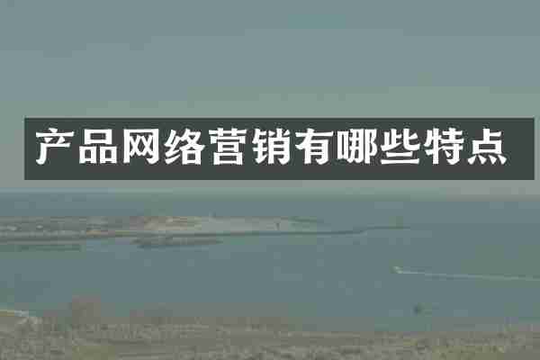 产品网络营销有哪些特点