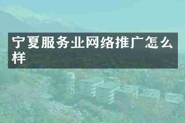宁夏服务业网络推广怎么样
