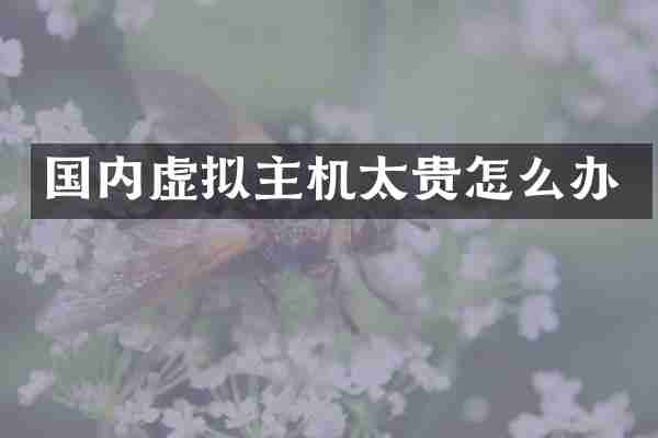 国内虚拟主机太贵怎么办