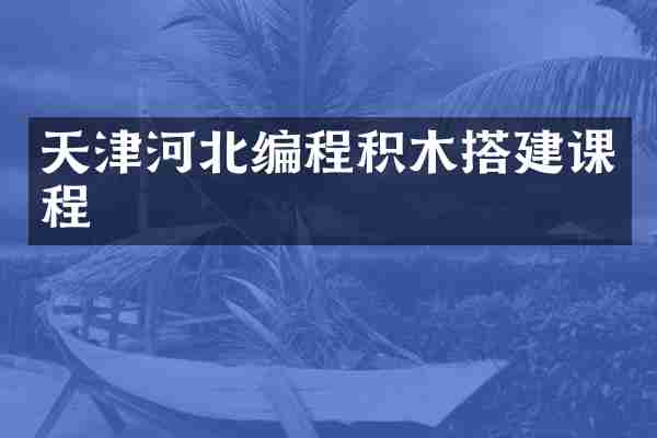 天津河北编程积木搭建课程