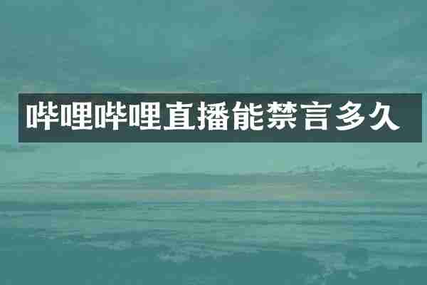 哔哩哔哩直播能禁言多久