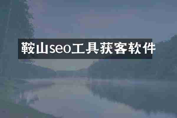 鞍山seo工具获客软件