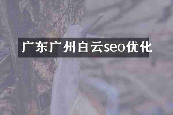 广东广州白云seo优化