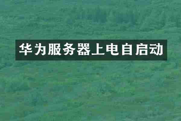 华为服务器上电自启动