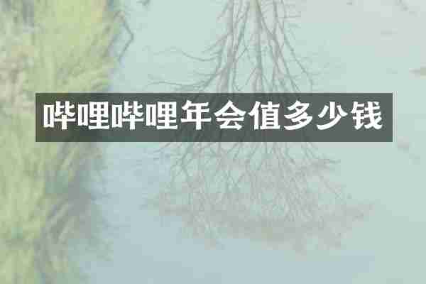 哔哩哔哩年会值多少钱