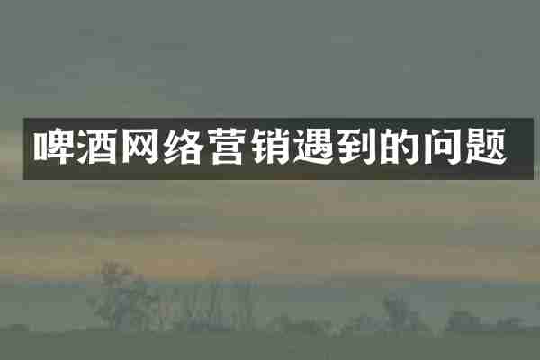 啤酒网络营销遇到的问题