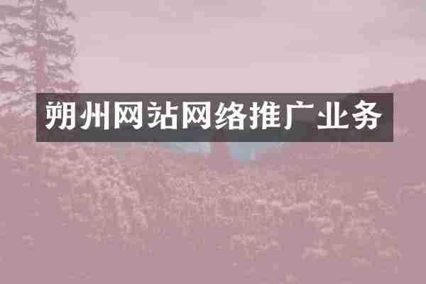 朔州网站网络推广业务