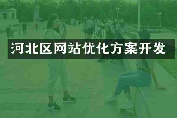 河北区网站优化方案开发