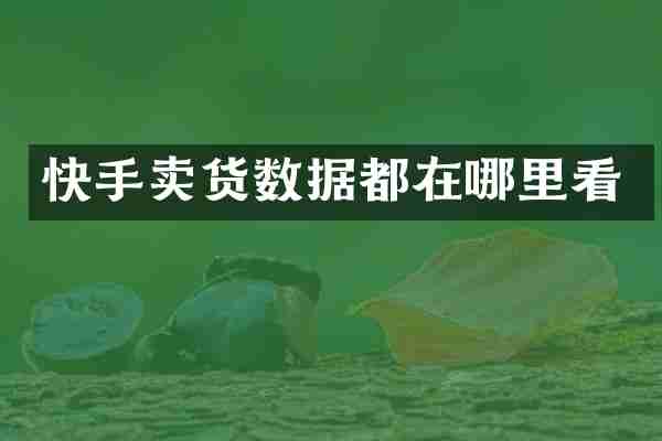快手卖货数据都在哪里看