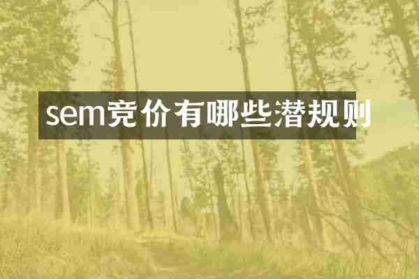 sem竞价有哪些潜规则