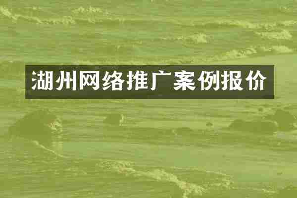 湖州网络推广案例报价