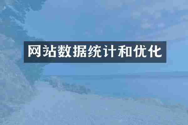 网站数据统计和优化