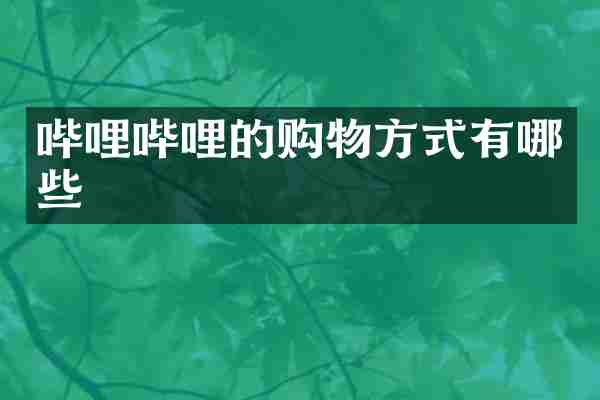 哔哩哔哩的购物方式有哪些