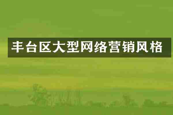 丰台区大型网络营销风格