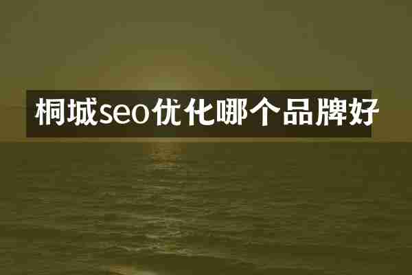 桐城seo优化哪个品牌好