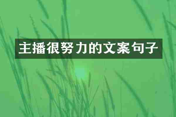 主播很努力的文案句子