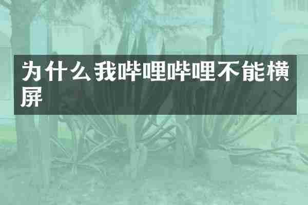 为什么我哔哩哔哩不能横屏