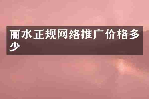 丽水正规网络推广价格多少