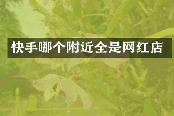 快手哪个附近全是网红店