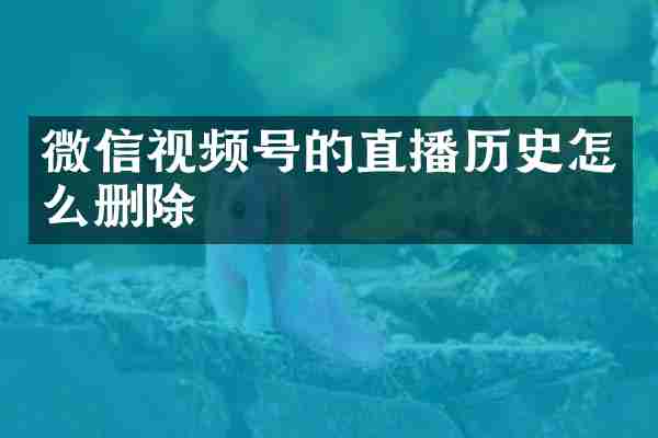 微信视频号的直播历史怎么删除