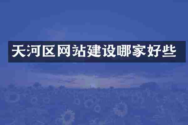 天河区网站建设哪家好些