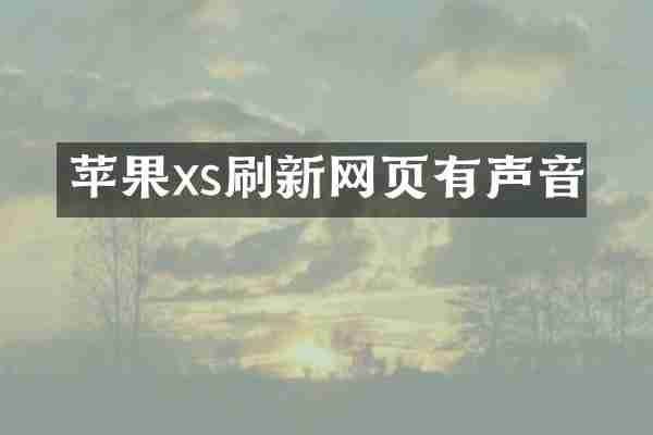 苹果xs刷新网页有声音