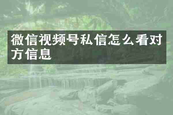 微信视频号私信怎么看对方信息