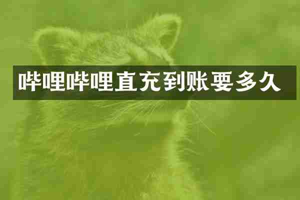 哔哩哔哩直充到账要多久