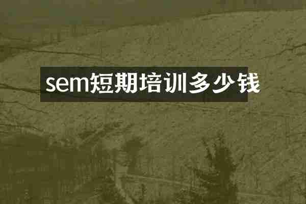 sem短期培训多少钱
