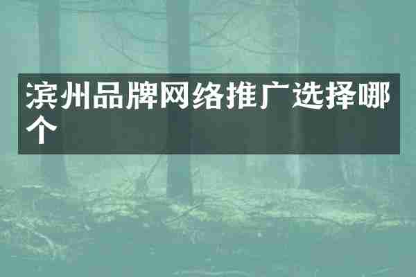 滨州品牌网络推广选择哪个