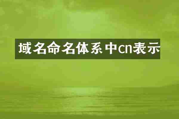 域名命名体系中cn表示